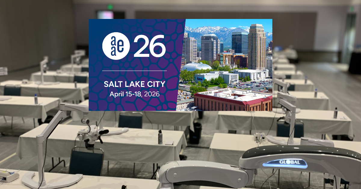 endodontic ce courses aae