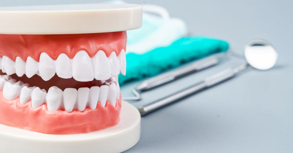 dental teeth and tools