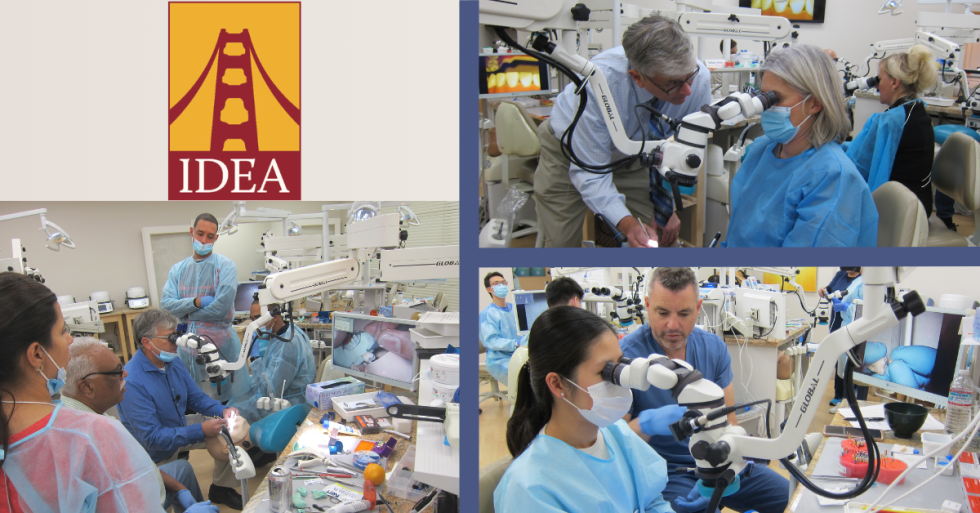 Interdisciplinary Dental Education Academy (IDEA): Hands-On Microscopic Dentistry Training